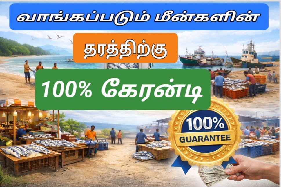 100% guarantee for quality of fish purchased – sea to market