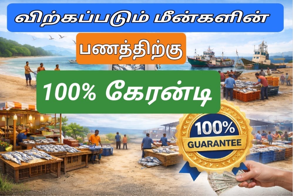 100% guarantee for the price of fish sold
